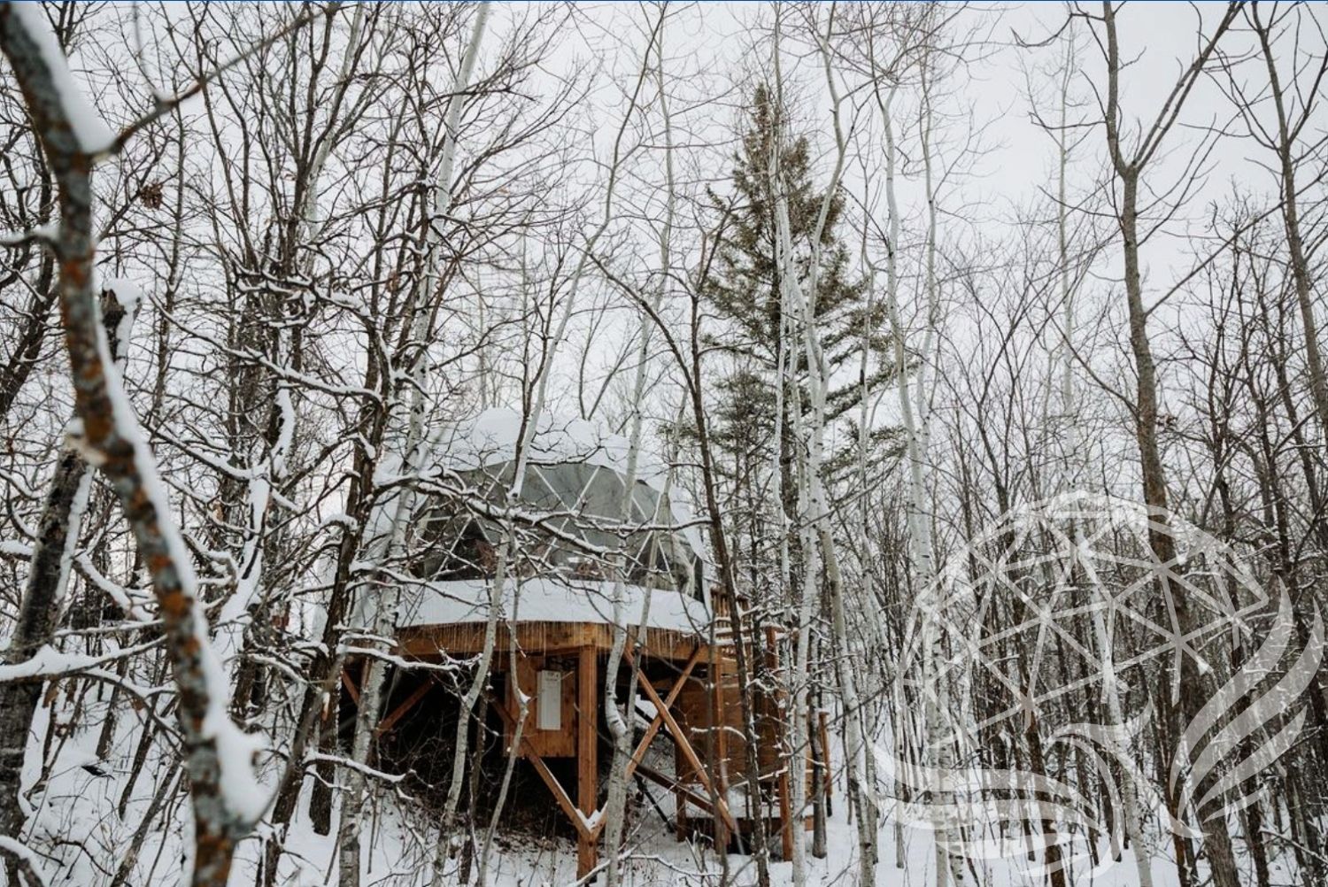 16ft / 5m / 210 sqft All Season Glamping Dome