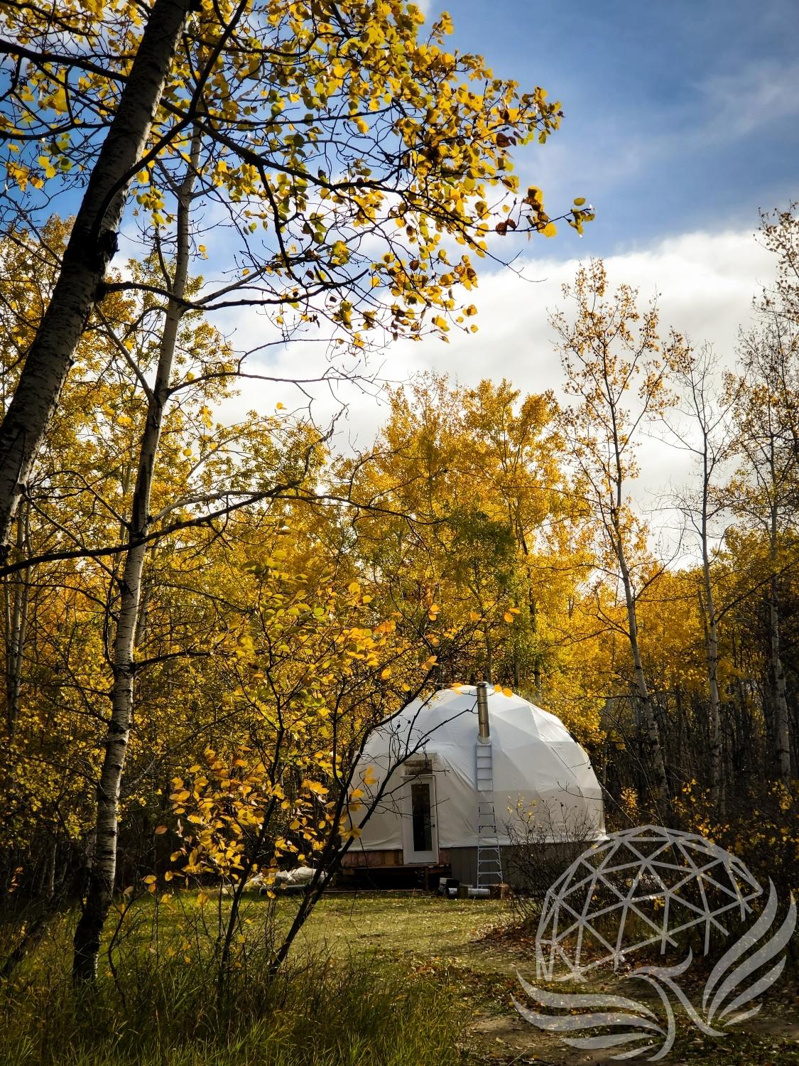 23 ft / 7m / 400 sqft All Season Glamping Dome